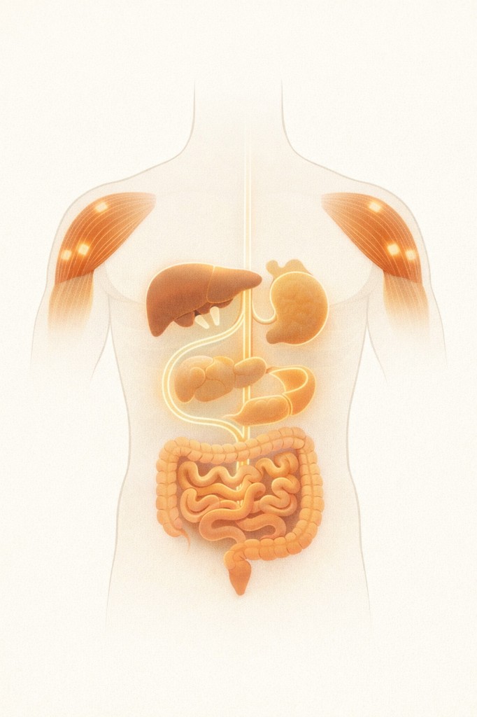 Think Like an Athlete. Decoding Your Metabolism.